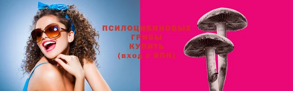 альфа пвп Володарск