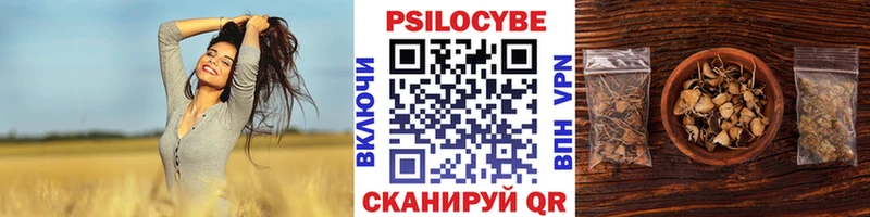 Галлюциногенные грибы Magic Shrooms  omg ССЫЛКА  Демидов 